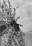 Men at work. Prá della valle anni 60 (Piero Melloni)